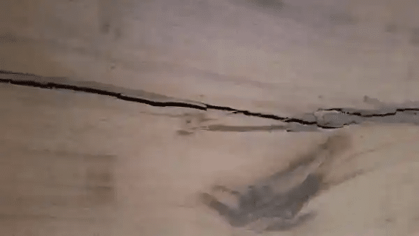 Imperfection bois — microfissure naturelle sur pergola