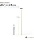 Latte pin 16x60 traitée autoclave vert, standard sans usinage : longueurs à l’échelle