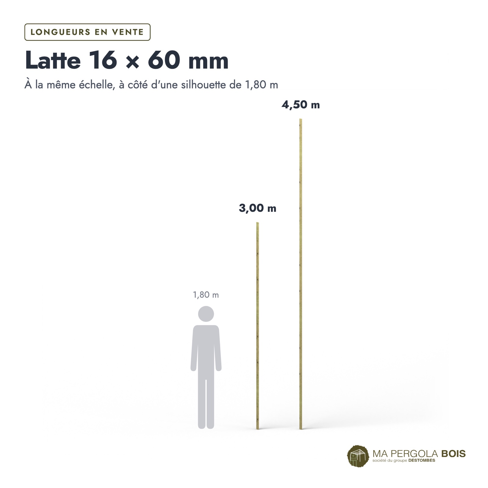 Latte pin 16x60 traitée autoclave vert, standard sans usinage : longueurs à l’échelle