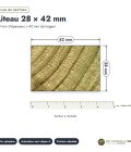 Liteau autoclave 28x42 en pin sylvestre vert : plan de section coté