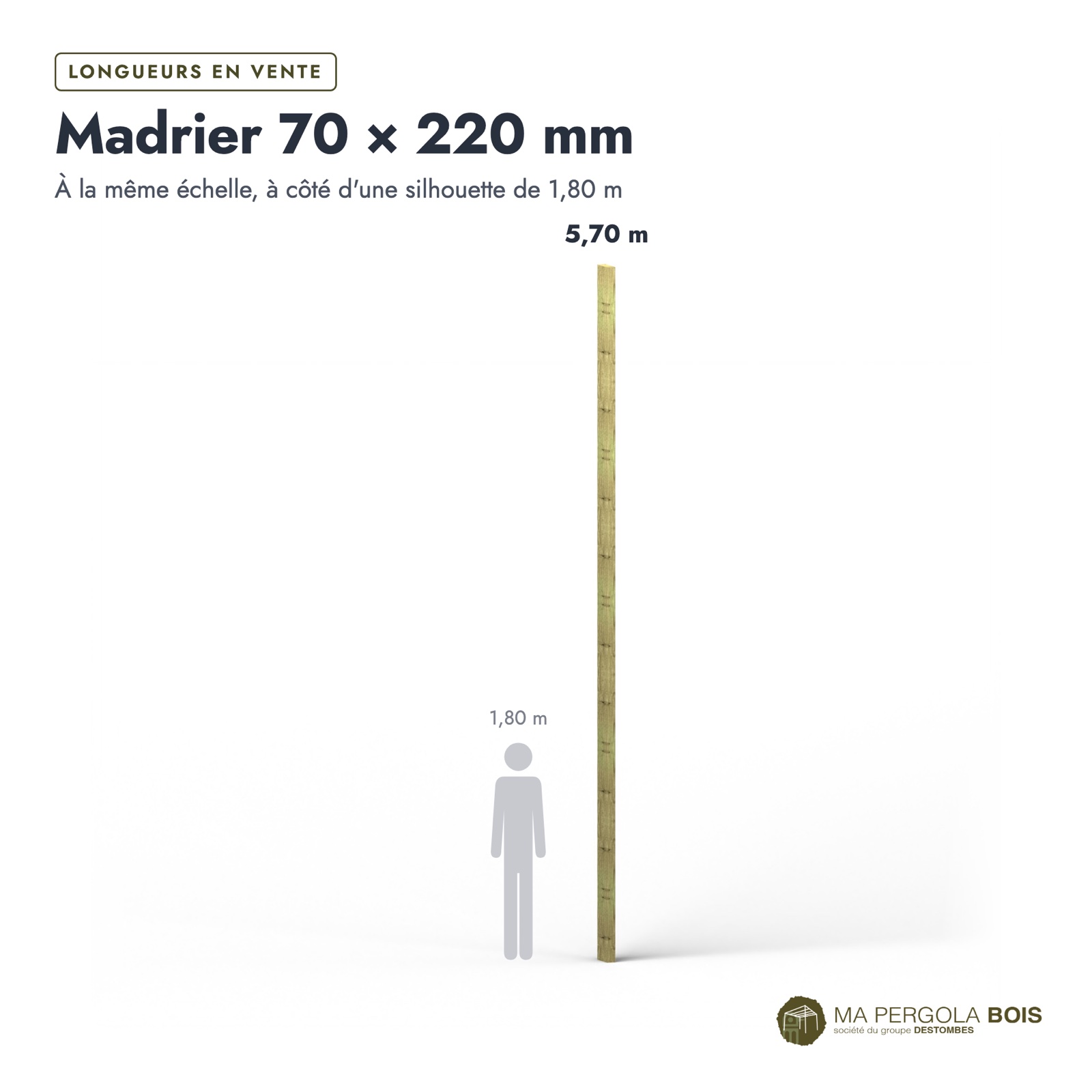 Madrier 70x220 standard sans usinage, pin autoclave : longueurs à l’échelle