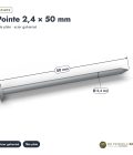 Pointes galvanisées 2,4x50 à tête plate, boîte de 5 kg ou sachet de 100 : piece cotee