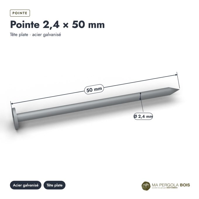 Pointes galvanisées 2,4x50 à tête plate, boîte de 5 kg ou sachet de 100 : piece cotee