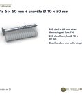 Vis et cheville béton 6x60, vis zinguée T30 et cheville Ø 10, boîte de 200 : boite ou ensemble
